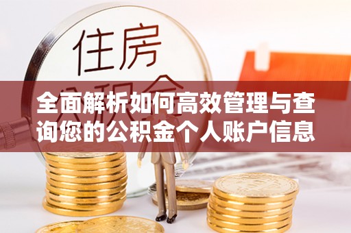 澳门全面解析如何高效管理与查询您的公积金个人账户信息