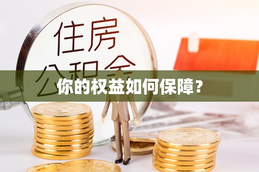 澳门你的权益如何保障？
