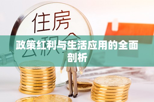 澳门政策红利与生活应用的全面剖析